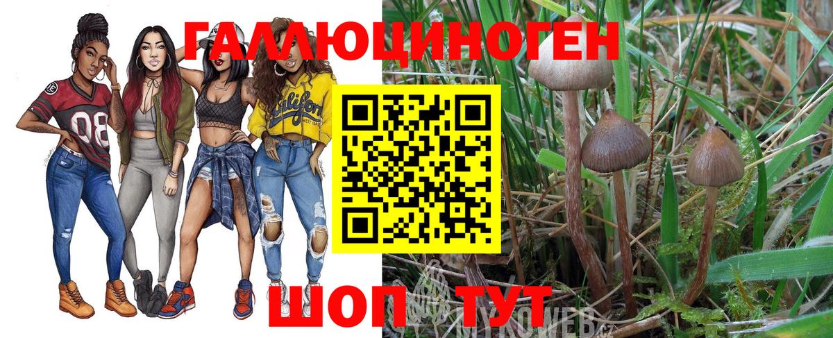 Галлюциногенные грибы мухоморы  Вход с VPN  Псилоцибиновые грибы мицелий  Жигулёвск 